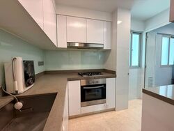 Eight Riversuites (D12), Condominium #599756501